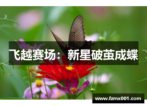 飞越赛场：新星破茧成蝶